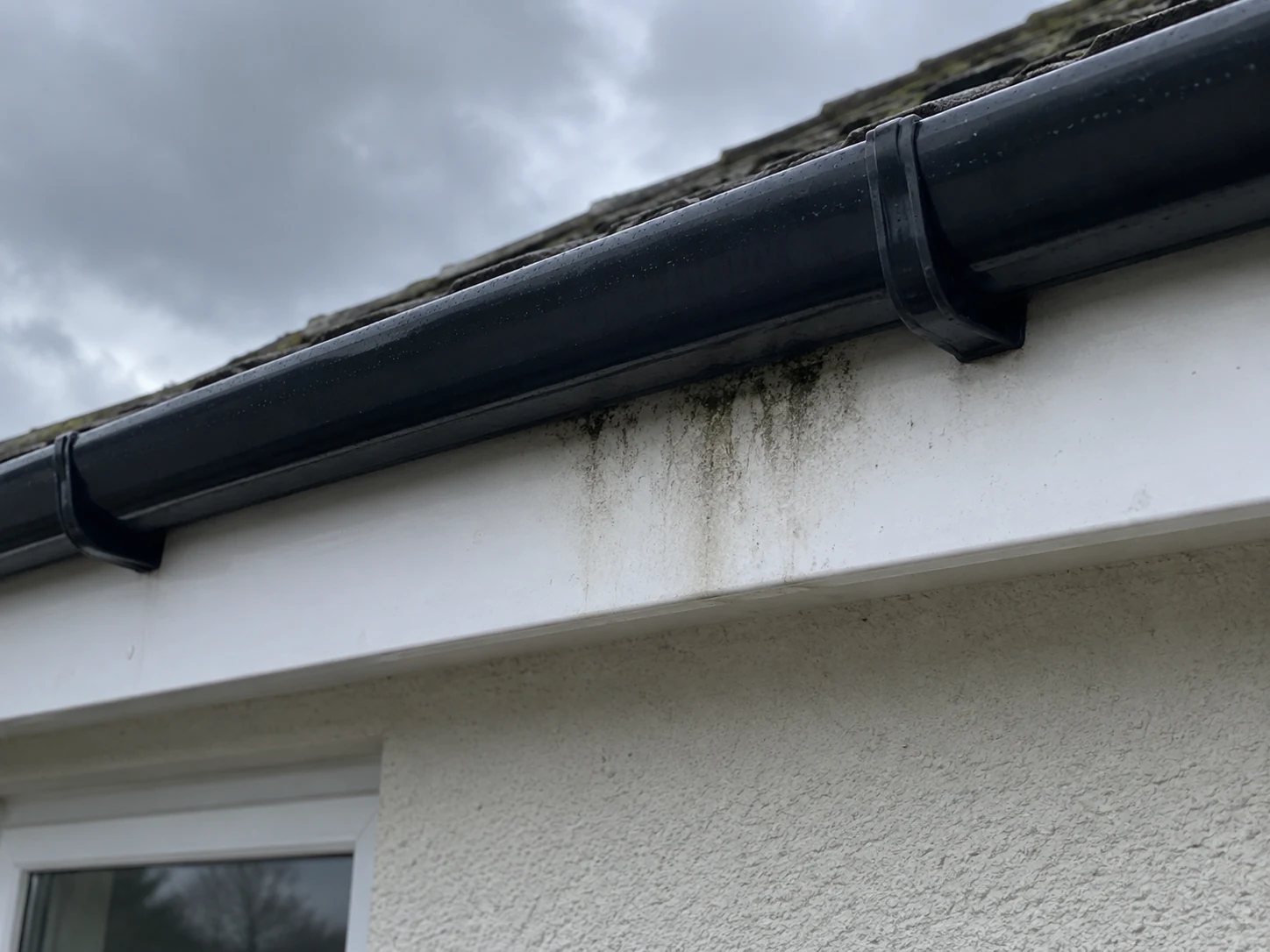 Damp staining on a fascia board below a gutter